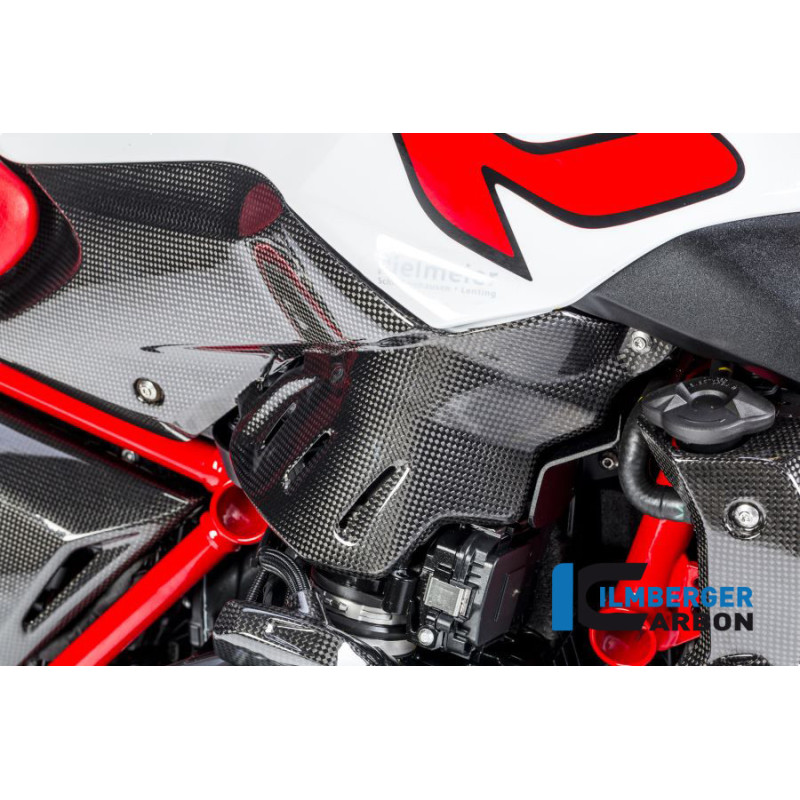 Flanc de réservoir bas droit carbone pour R 1200 R