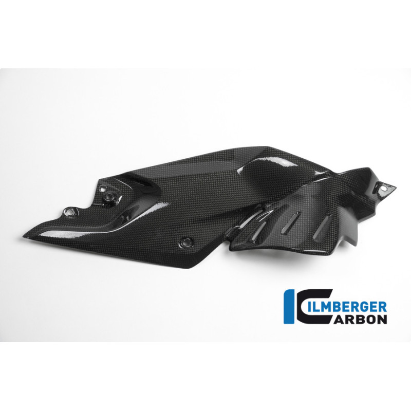 Flanc de réservoir bas droit carbone pour BMW R 1200 R | Ilmberger Carbon