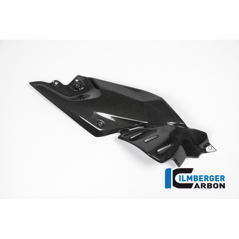 Flanc de réservoir bas droit carbone pour BMW R 1200 R | Ilmberger Carbon