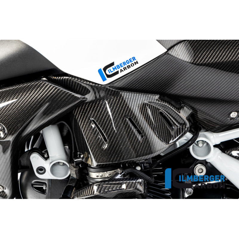 Flanc de réservoir bas gauche carbone pour BMW R 1250 R | Ilmberger Carbon