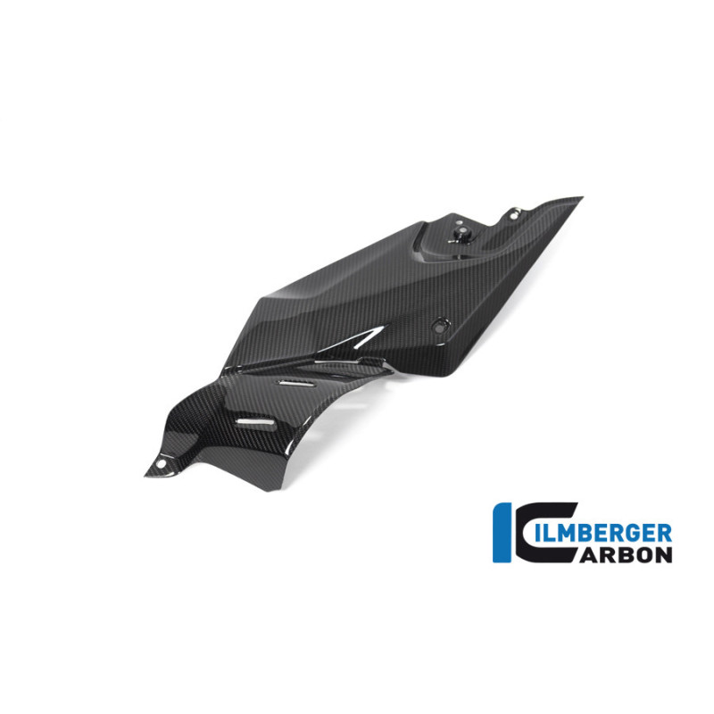 Flanc de réservoir bas gauche carbone pour BMW R 1250 R | Ilmberger Carbon