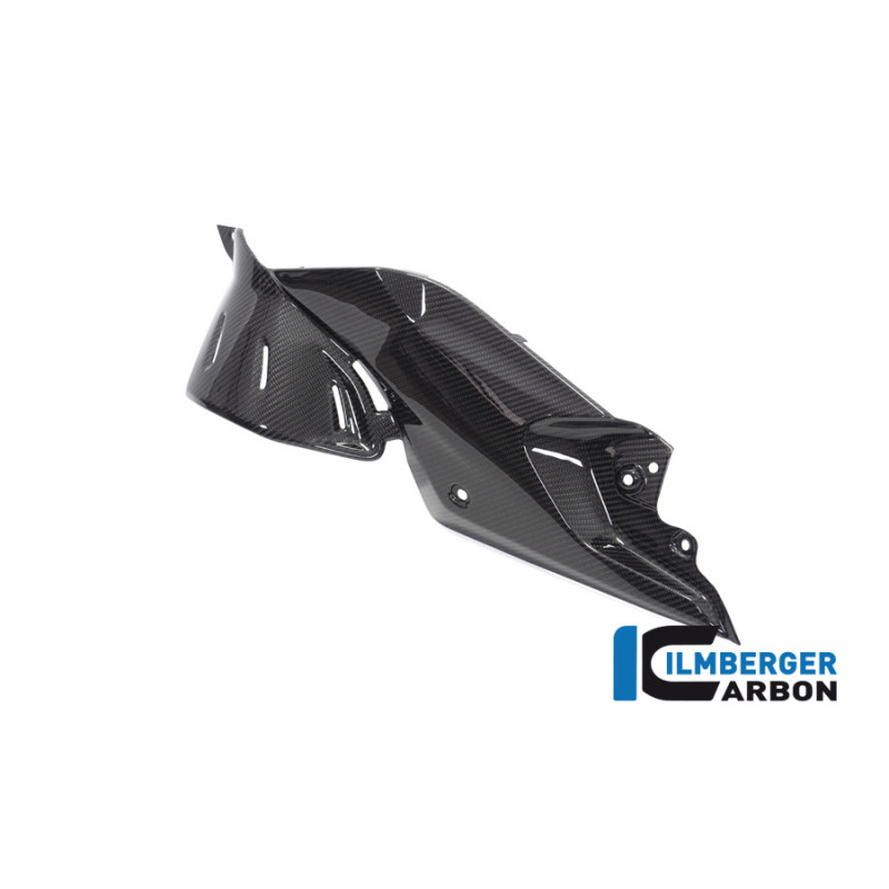Flanc de réservoir bas gauche carbone pour BMW R 1250 R | Ilmberger Carbon