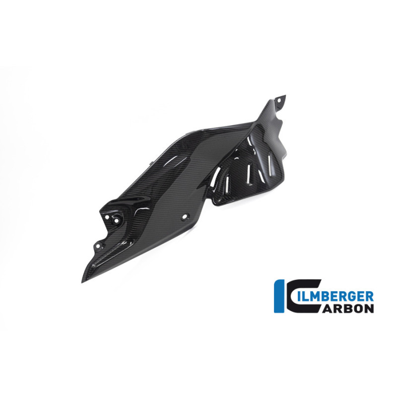 Flanc de réservoir bas droit carbone pour BMW R 1250 R | Ilmberger Carbon