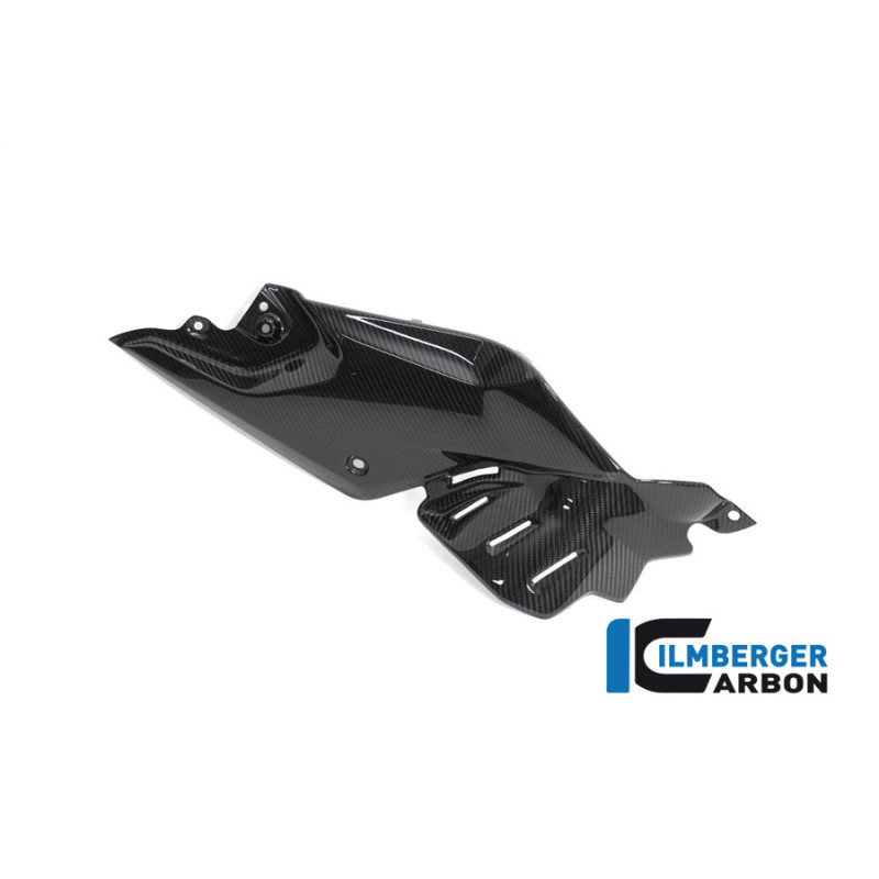 Flanc de réservoir bas droit carbone pour BMW R 1250 R | Ilmberger Carbon