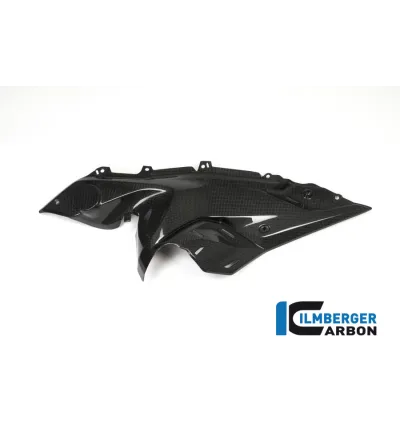 Flanc de réservoir bas gauche carbone pour BMW R 1200 RS | Ilmberger Carbon