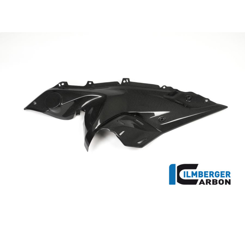 Flanc de réservoir bas gauche carbone pour BMW R 1200 RS | Ilmberger Carbon