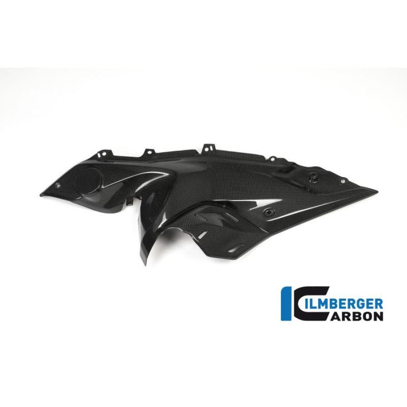Flanc de réservoir bas gauche carbone pour BMW R 1200 RS | Ilmberger Carbon