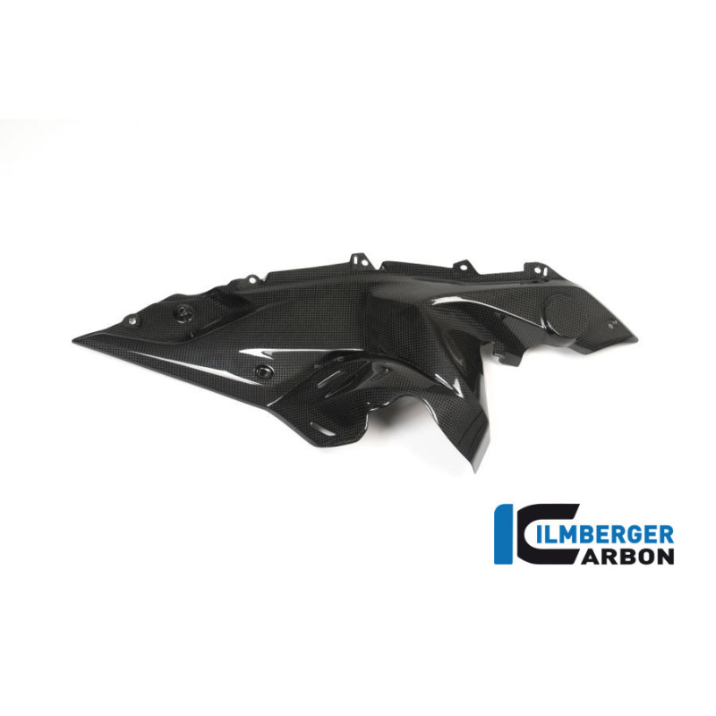 Flanc de réservoir bas droit carbone pour BMW R 1200 RS | Ilmberger Carbon