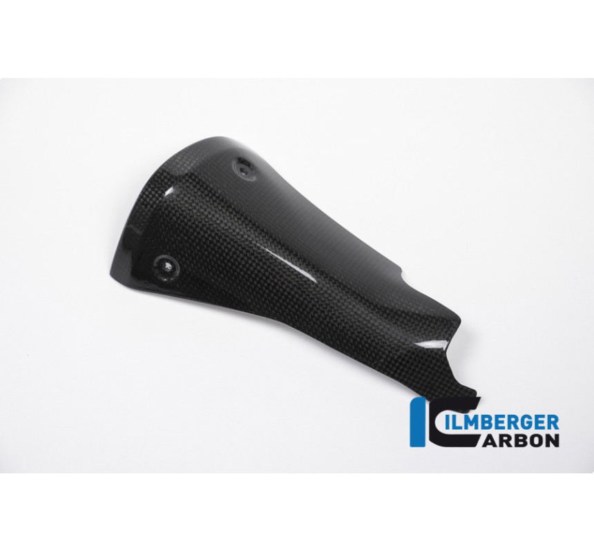 Protection thermique d'échappement carbone pour BMW R 1200 R & RS | Ilmberger Carbon