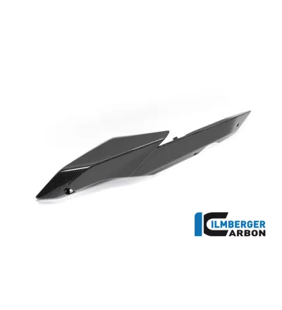 Cache latéral de selle gauche carbone pour BMW R 1250 R & RS | Ilmberger Carbon
