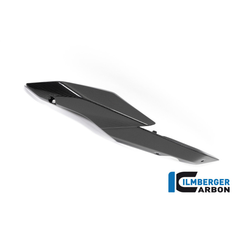 Cache latéral de selle gauche carbone pour BMW R 1250 R & RS | Ilmberger Carbon