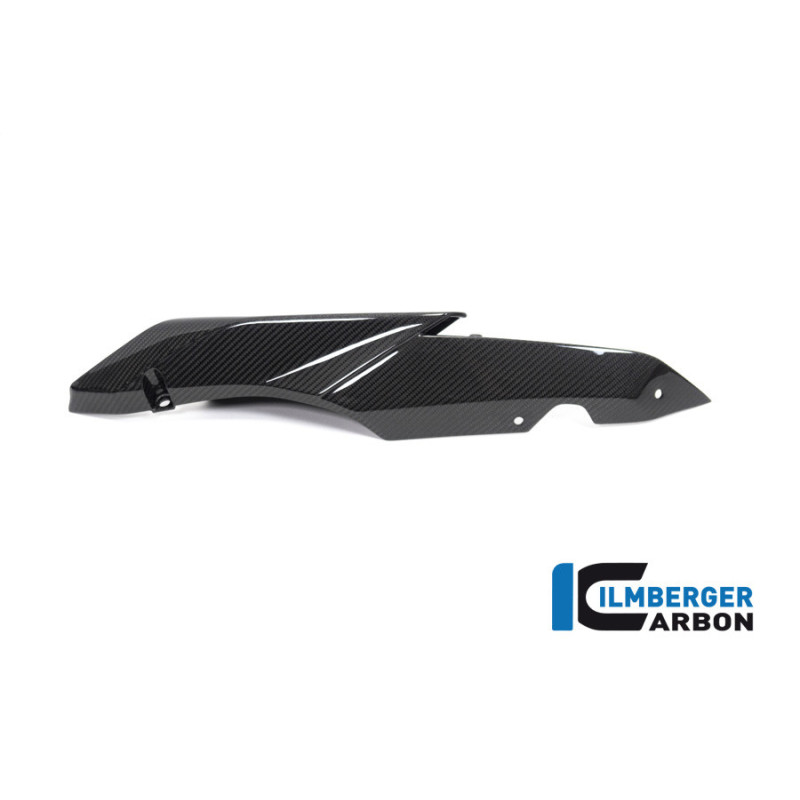 Cache latéral de selle gauche carbone pour BMW R 1250 R & RS | Ilmberger Carbon
