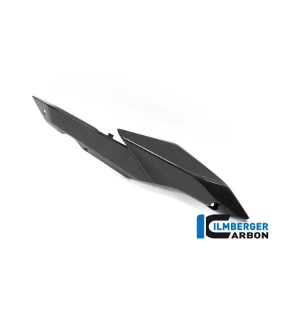 Cache latéral de selle droit carbone pour BMW R 1250 R & RS | Ilmberger Carbon