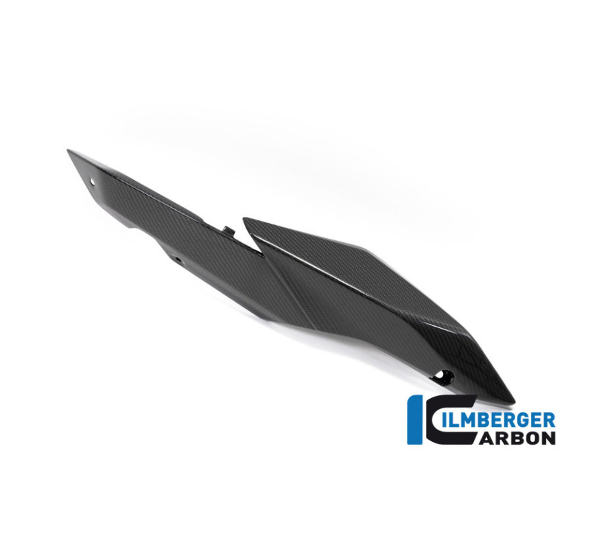 Cache latéral de selle droit carbone pour BMW R 1250 R & RS | Ilmberger Carbon