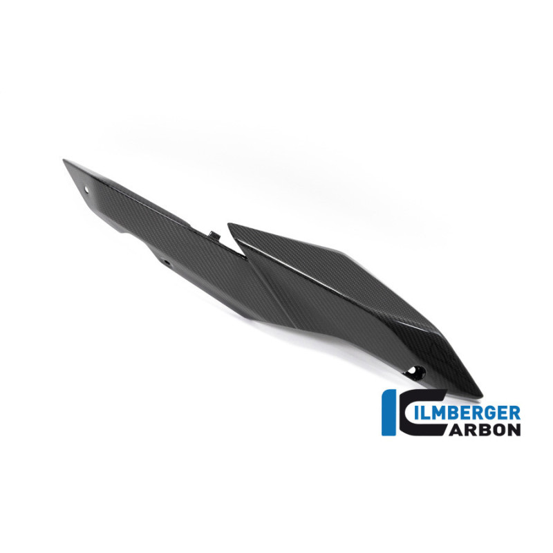 Cache latéral de selle droit carbone pour BMW R 1250 R & RS | Ilmberger Carbon
