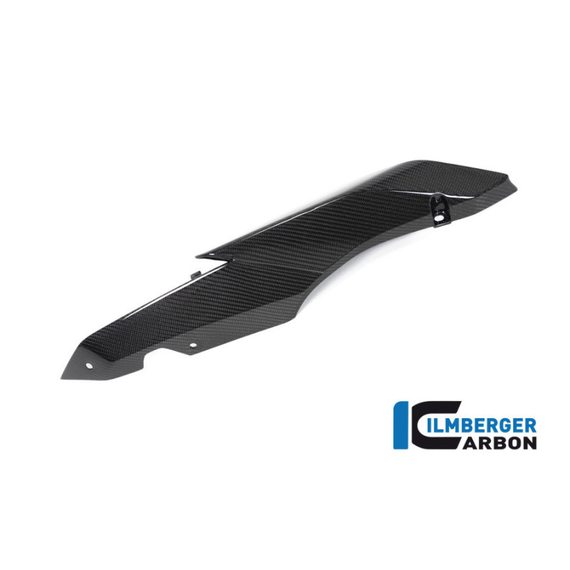 Cache latéral de selle droit carbone pour BMW R 1250 R & RS | Ilmberger Carbon