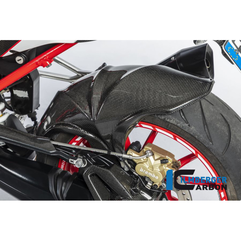 Garde-boue arrière Euro 3 carbone pour BMW R 1200 R & RS | Ilmberger Carbon