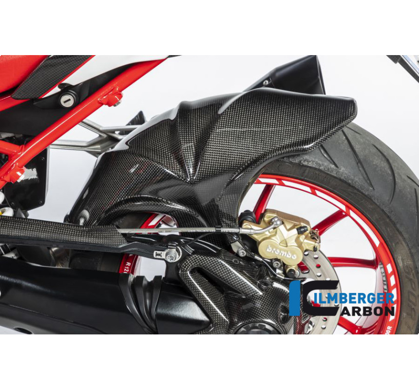 Garde-boue arrière Euro 4 carbone pour BMW R 1200 R & RS | Ilmberger Carbon