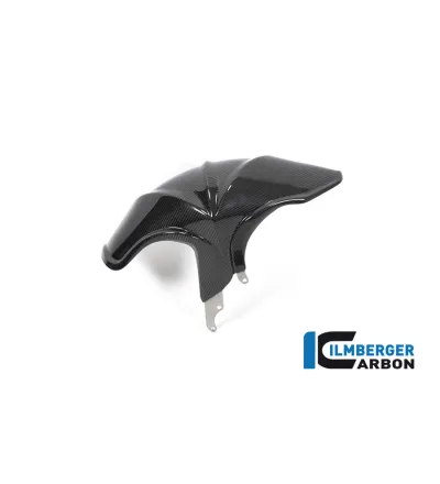 Garde-boue arrière carbone pour BMW R 1250 R & RS | Ilmberger Carbon