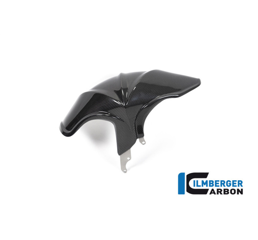 Garde-boue arrière carbone pour BMW R 1250 R & RS | Ilmberger Carbon