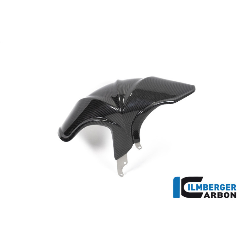 Garde-boue arrière carbone pour BMW R 1250 R & RS | Ilmberger Carbon