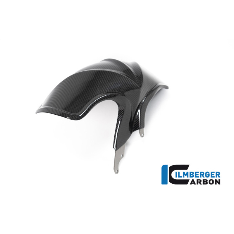 Garde-boue arrière carbone pour BMW R 1250 R & RS | Ilmberger Carbon