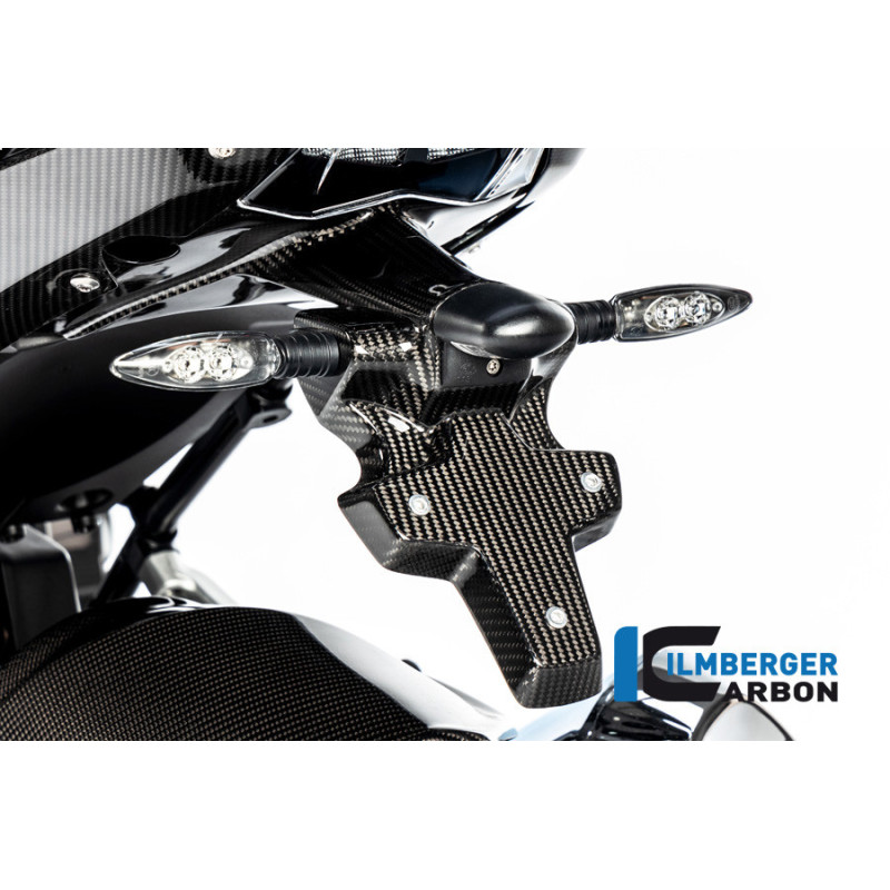 Support de plaque en deux parties carbone pour BMW R 1250 R & RS | Ilmberger Carbon