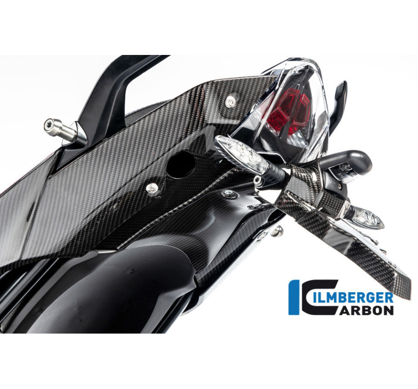 Support de plaque en deux parties carbone pour R 1250 R & RS