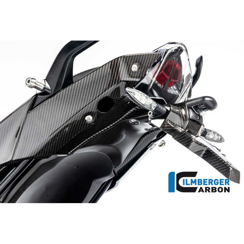Support de plaque en deux parties carbone pour R 1250 R & RS