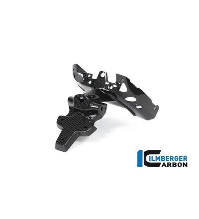 Support de plaque en deux parties carbone pour BMW R 1250 R & RS | Ilmberger Carbon