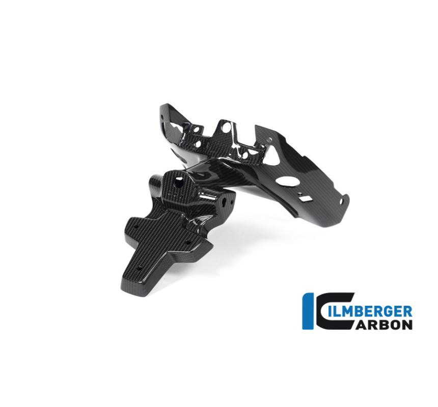 Support de plaque en deux parties carbone pour BMW R 1250 R & RS | Ilmberger Carbon