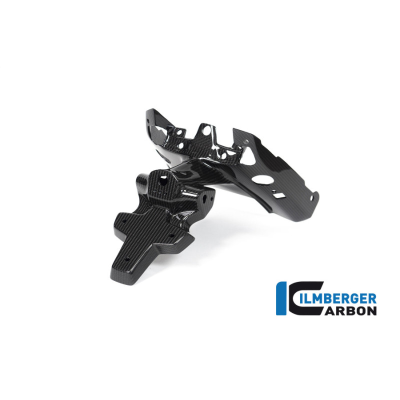 Support de plaque en deux parties carbone pour BMW R 1250 R & RS | Ilmberger Carbon
