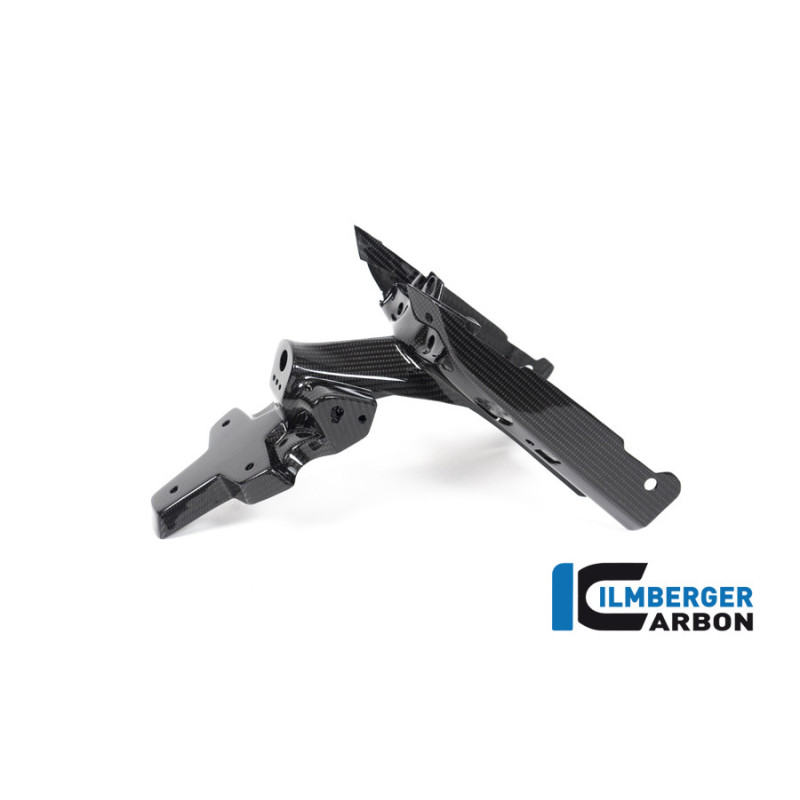 Support de plaque en deux parties carbone pour BMW R 1250 R & RS | Ilmberger Carbon