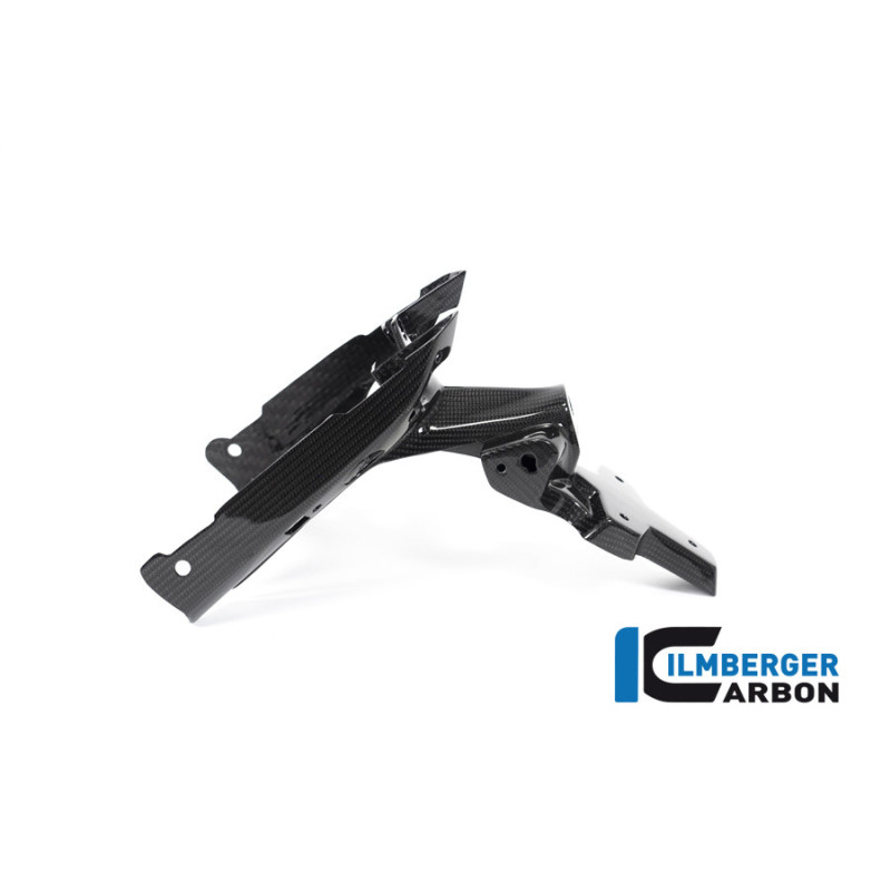 Support de plaque en deux parties carbone pour BMW R 1250 R & RS | Ilmberger Carbon