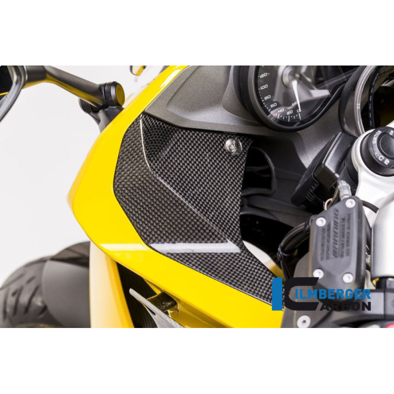 Cache de cockpit gauche carbone pour BMW R 1200 RS | Ilmberger Carbon