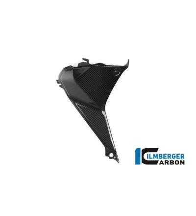 Cache de cockpit gauche carbone pour BMW R 1200 RS | Ilmberger Carbon