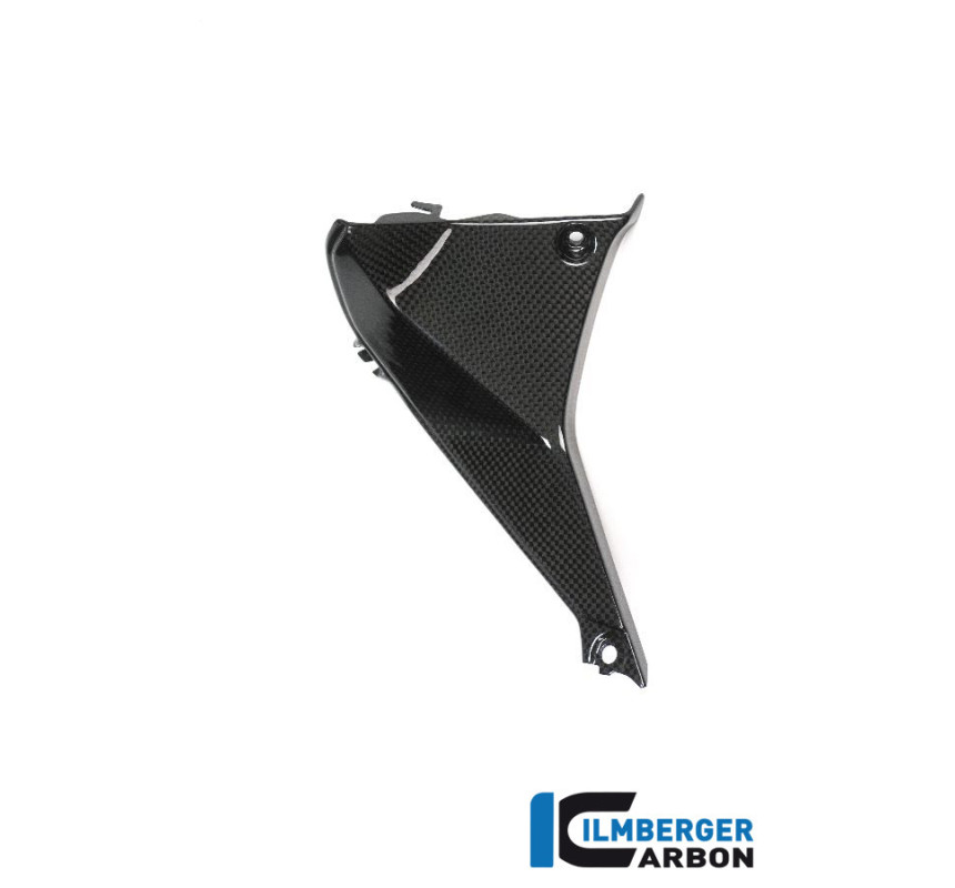 Cache de cockpit gauche carbone pour R 1200 RS