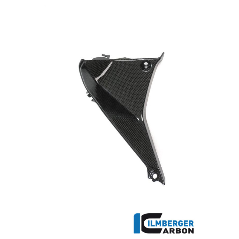 Cache de cockpit gauche carbone pour R 1200 RS