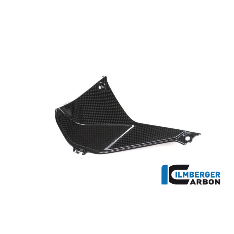 Cache de cockpit gauche carbone pour BMW R 1200 RS | Ilmberger Carbon
