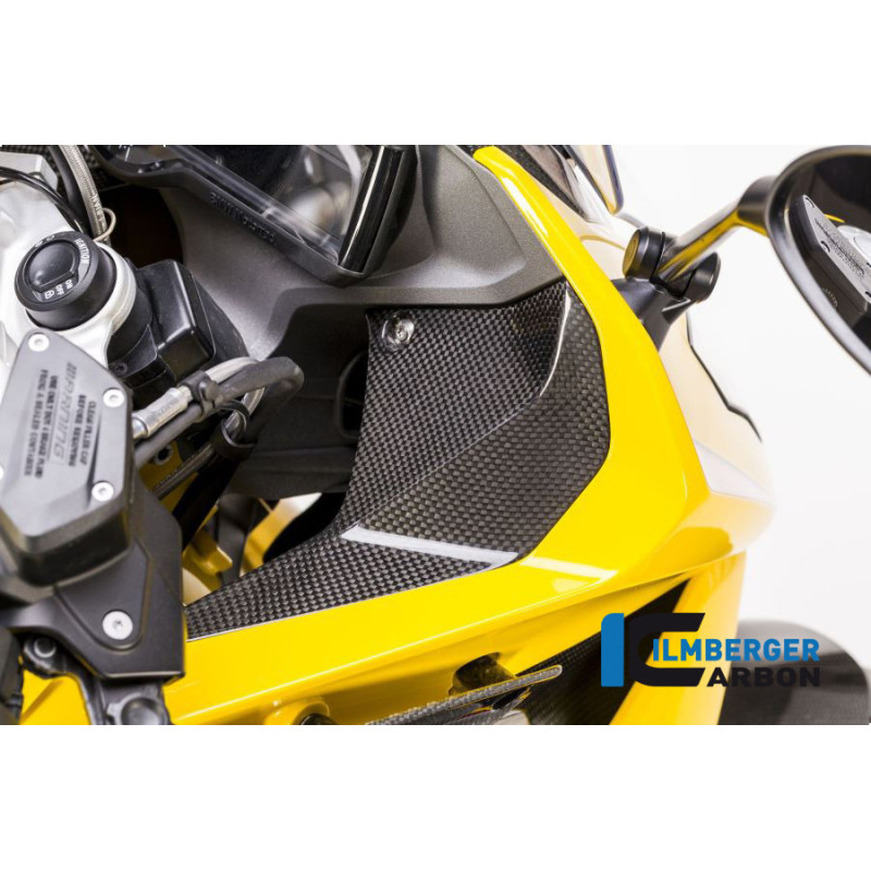 Cache de cockpit droit carbone pour BMW R 1200 RS | Ilmberger Carbon