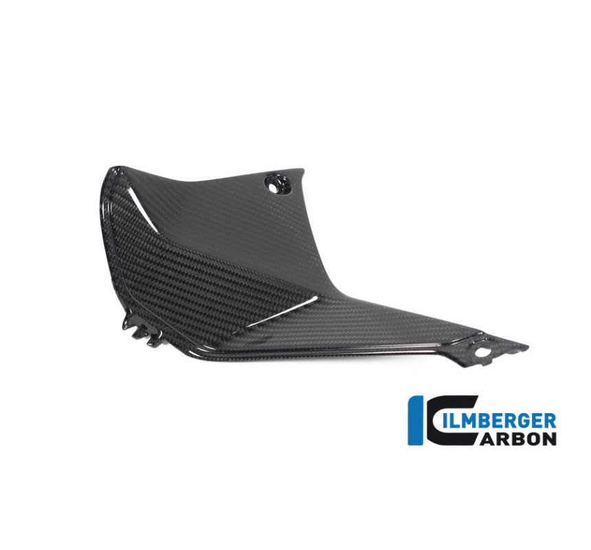 Cache de cockpit gauche carbone pour R 1250 RS