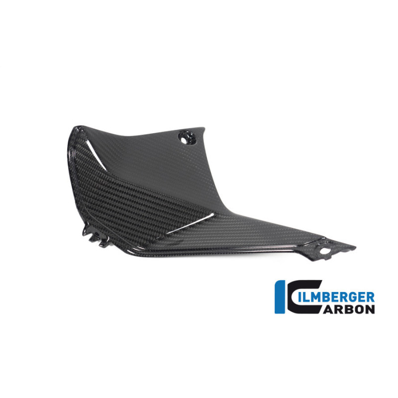 Cache de cockpit gauche carbone pour R 1250 RS