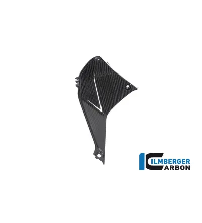 Cache de cockpit gauche carbone pour BMW R 1250 RS | Ilmberger Carbon