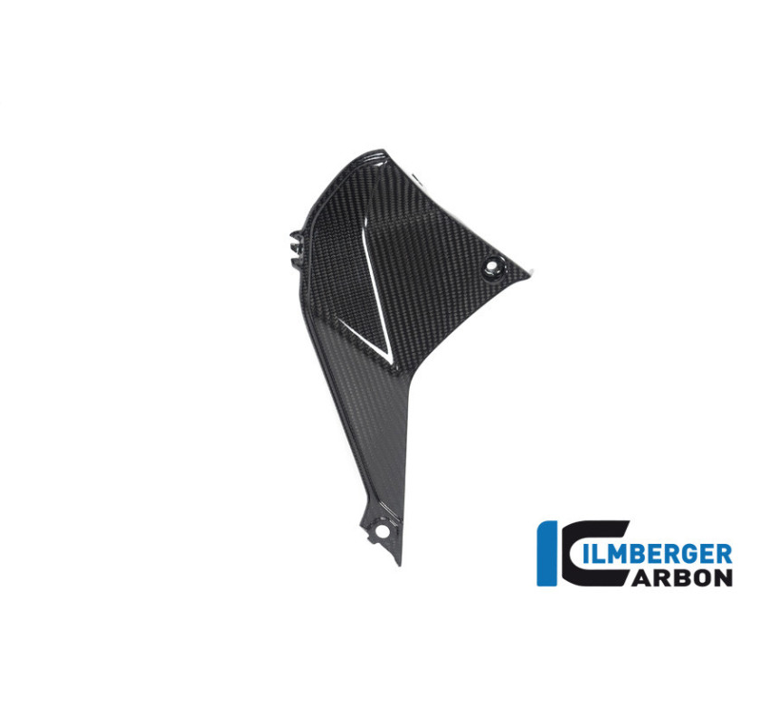 Cache de cockpit gauche carbone pour BMW R 1250 RS | Ilmberger Carbon