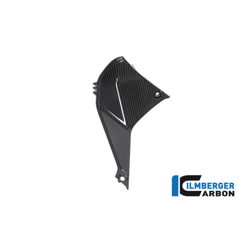 Cache de cockpit gauche carbone pour BMW R 1250 RS | Ilmberger Carbon