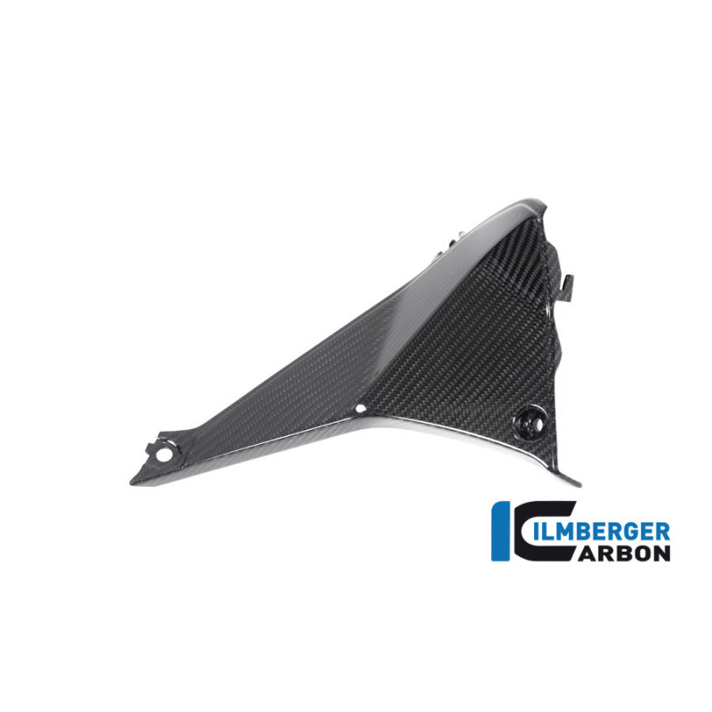 Cache de cockpit gauche carbone pour BMW R 1250 RS | Ilmberger Carbon