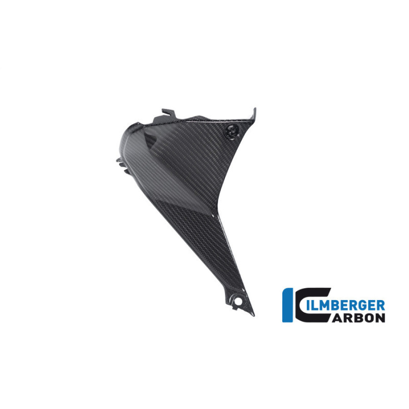 Cache de cockpit gauche carbone pour BMW R 1250 RS | Ilmberger Carbon