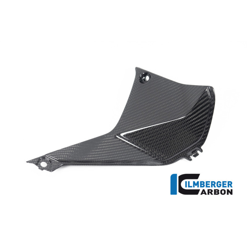 Cache de cockpit droit carbone pour BMW R 1250 RS | Ilmberger Carbon