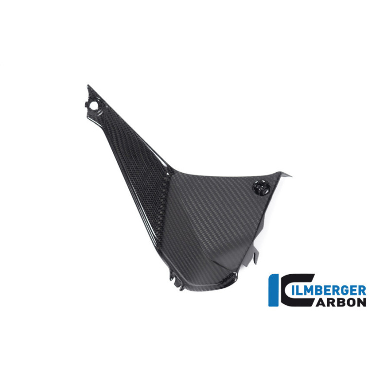 Cache de cockpit droit carbone pour BMW R 1250 RS | Ilmberger Carbon