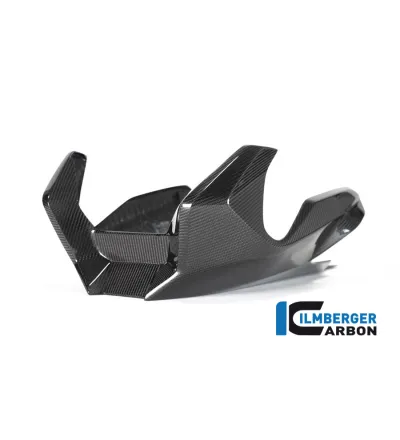 Sabot moteur carbone pour BMW R 1250 R & RS | Ilmberger Carbon
